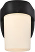 6106700 Dimmable One-Light LED Outdoor Wall Fixture with Dusk to Dawn Sensor, Black Finish with Frosted Opal Glass