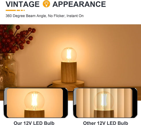 12 Volt E26 Edison LED Light Bulbs, Soft Warm 2700K, 2W (Only for 12V DC/AC), 25W Equivalent, 6 Pack