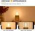 12 Volt E26 Edison LED Light Bulbs, Soft Warm 2700K, 2W (Only for 12V DC/AC), 25W Equivalent, 6 Pack