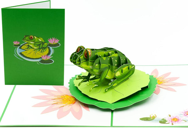 Green Frog Pop Up Card, Blank Frog Card with Envelope for Birthday, Kids Gift, Thank You, Get Well Soon