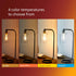 Vintage Spiral ST19 Dimmable LED Light Bulbs, E26 Bulb, Amber 2000K Lightbulb, 300 Lumen, 4 Pack