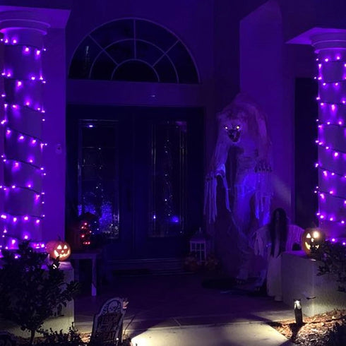 2 Pack 20FT 100 Count TW SHINE Purple Halloween Lights, Incandescent Halloween Mini String Lights, Waterproof Halloween