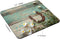 TSSOHU Mouse Pad, Teal Rustic Wooden Horseshoe Daisy Mouse Pad, Washable Square Cloth Mousepad for Office Laptop