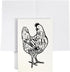 Lantern Press Chicken, Butchers Block Meat Cuts, Black Chicken on White (Lined