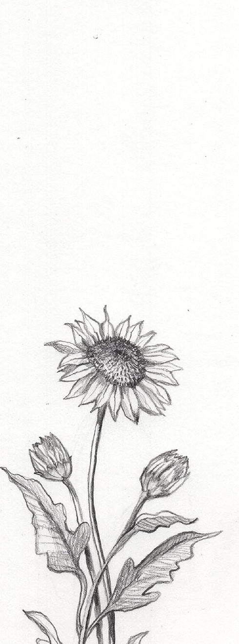 Yasutomo Artist Pencil, Black, 1.1mm