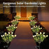 7 2 Pack Solar Garden Lights, Heads Gardenia Colorful Flower Light Waterproof Solar Outdoor Lights for Yard Pathway