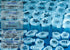 0.5ml Microcentrifuge Tubes 1000pcs, EO Sterilized Plastic Small Vials with Caps for Sample Storage