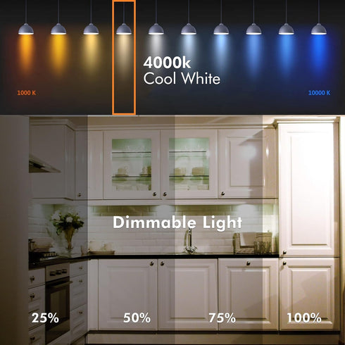 Xtricity LED Closet Puck Light Bulb, Dimmable, Flat Light Bulb, 11W (60W Replacement), 800 Lumens, 4000K Cool White, 1