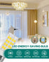 JDE11 120V 40W Bulbs T3/T4 E11 4W Bulbs Non-dimmable 400LM 2 Pack) Halogen Mini Candelabra Equivalent, Mini Base Energy