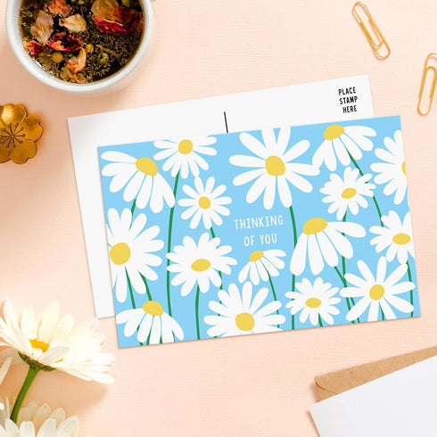 Sweetzer & Orange Thinking of You Postcards Pack (60 cards) 4x6 Assorted Blank Flyers, Sympathy Coupons, Greeting Sheets