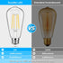 4-Pack Vintage E26 LED Edison Bulbs, 100W Equivalent, 1400LM High Brightness, 8W ST58 LED Filament, 4000K Daylight