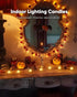 12 Pack 6H Amagic Timer Tea Lights Candles Battery Operated Candles with Timer, Auto On Daily, Flickering LED TeaLights