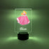 Mirror Mania Store 16 Princess Beauty Dress Night Light Up LED Desk Table Lamp Personalized Free Engraved Made