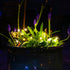 kemooie 2 Packs Solar String Lights, 200 LED 66FT Warm White Fairy Lights with 8 Twinkle Modes, Waterproof for Outdoor,