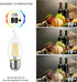 Bulb E26 Dimmable 4.5W (60W B11 Bulb2700K 12-Pack LVWIT Flame Tip LED Filament Candelabra Base Equivalent) Chandelier