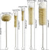 Stainless Steel Soda Bottle Cleaning Brush Set in Natural Boar Bristle Wool Tip Long Handle, Flexible Bendable Thick Wire Cleaner for Narrow Neck Water Baby Bottles Straw Pipe Tube Flask (5) by NewFerU