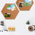 Yalis 500-count Thumb Tacks, 3/8-inch Steel Round Push Pins for Corkboard (Gold)