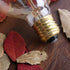 New Lights G25 Bulb, 60W Bulb, Bulb, Dimmable Bulbs, 2100K White,E26, 6 Pack Globe Edison Light Vintage Round Edison