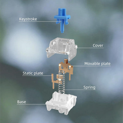 Mciepny 20pcs Switch,3 50gf 3D Zhouwang Blue Pin Clicky Accurate Typing Dustproof Pre Lubed Key Switches,Keyboard