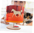 2pcs Abaodam DIY Rotary Lantern Craft Kit for Boy Girl Festival Lantern Making Material for Science Class for Spring