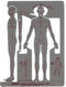 Pickett Male Human Figure Template (1140I) by Pickett