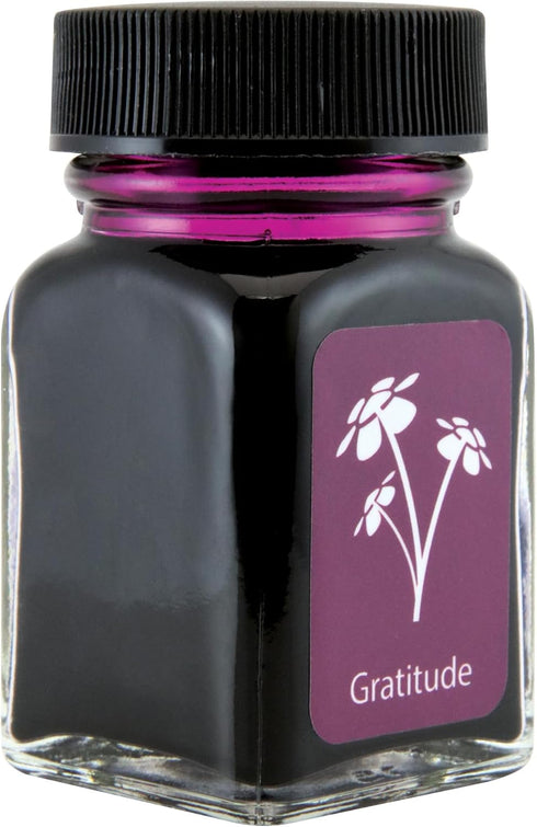MONTEVERDE Bottle Ink – 30ml, Gratitude Magenta (G309GM)