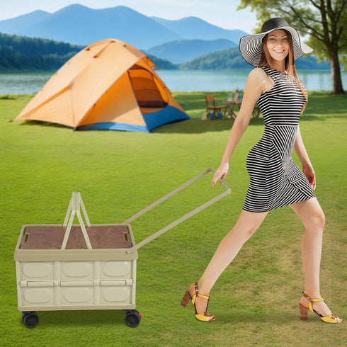 Venionwa 4 55L Rolling Cart with Wheels, Foldable Organizer with Handles, Foldable Box for Outdoor Store, Large