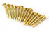 Brass Nails, 100 Pieces Round Head Gold Nails, 10mm 15mm 18mm 22mm Brass Tacks for Hanging Picture Frame Mirror
