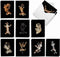 The Best Card Company, 20 Boxed Dog Cards with Envelopes, Blank Assortment (10 Designs)