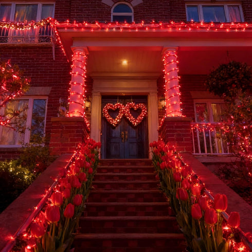 Lights,100 Count 19.6FT LAMPHOME Red Valentines Day Decor Mini Valentine's Lights,Red Christmas String Fairy Lights