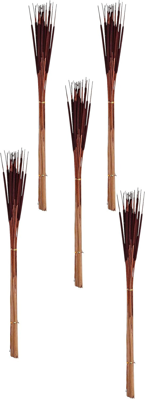 Set of 5 Natural Dried Pencil, 26", 125pcs, Dark Brown Cattail, Large Bunches