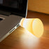 JINPIAOPIAO Flexible Goosenecks USB LED Desk Lamp with Adjustable Warm White Lights for Bedroom Reading Nightlight Dorm