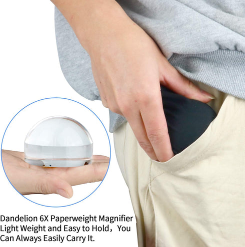 Dandelion 6X Dome/Paperweight Magnifier with Pouch for Table Magnifying