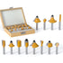 12 Pieces Tungsten Carbide Router Bit Set 1/4 Inch Shank for Beginners