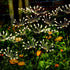 Solar Garden Lights 2 Pack Twinkling Solar Firework Lights with 2 Modes