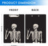 Britimes Decorative Clipboard Hardboard Wood Nursing Clip Board for Standard A4 Letter Size, Funny Skull Skeleton 12.6"