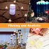 LED Tea Lights, 24 Pack Warm White Flickering Flameless Tea Lights, Battery Operated for Decoration (Last 200H+)