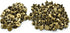 LQ Industrial 120pcs Chicago Screw Binding Screws, 5x6mm Bronze, Cross Head Phillips Drive for DIY Leather Craft