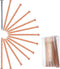 12 Pcs 4 Inch Long Copper Nails Spikes for Tree Killing, Stump Removal with 1 Pcs Steel Nails, Storage Box Included