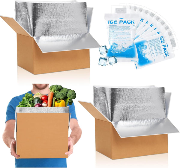 Honoson 2 Pcs Thermal Insulated Shipping Boxes for Frozen Food with Ice Pack