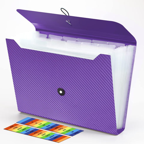 Expanding File Folder, 13 Pockets Accordion File Holder Organizer for A4 Letter Size Paper, Document Receipt Organizer
