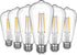 EDISHINE Vintage LED Edison Bulbs 6 Pack, 8W Equivalent 60W, ST64 Dimmable 700LM 2700K Warm White E26 Base
