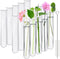 15 Pcs Clear Test Tubes for Plant Propagation - Borosilicate Glass Tubes for Hydroponic Flowers, 30 ml