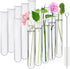 15 Pcs Clear Test Tubes for Plant Propagation - Borosilicate Glass Tubes for Hydroponic Flowers, 30 ml