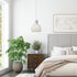 14.27 Industrial Plug in Pendant Lighting Metal Wire Cage Hanging Light Fixture with Ft Hanging Cord and On/Off Switch