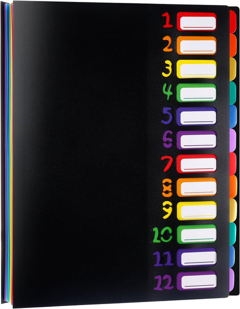 Shappy 12 Pocket Expanding File Folder with Rainbow File Folders Organizer for A4 Size Documents