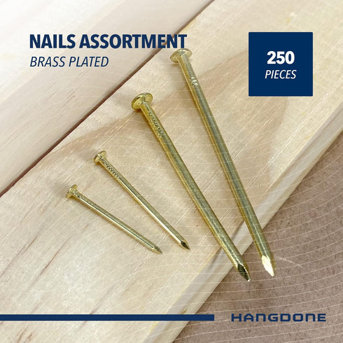Nail Assortment 250-Pieces, 4 Sizes Assorted Nails Kit for Wood and Drywall, Brass Plated Finish