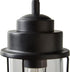 Francis Millar One Light Farmhouse Industrial Metal Cage and Glass Kitchen Island Pendant
