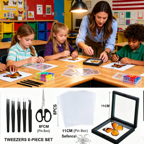 Dddzerong (5in Butterfly Specimen Kit Includes pins, mounting Board, Spreading Tools, Display case, Labels, Forceps