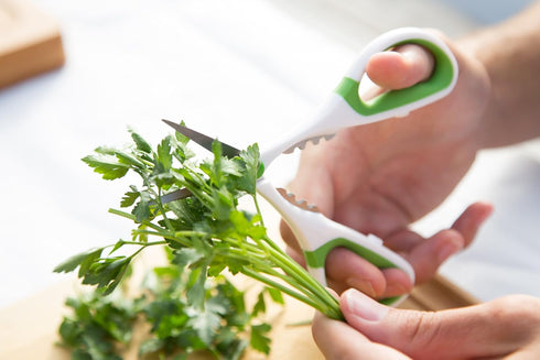 Zyliss Heavy Duty Home & Kitchen Herb Shears Scissors - White/Green, 8.5 x 4.2 x 0.4 inches with Innovative Stem
